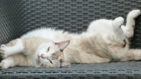 Gallery - By Popular Demand